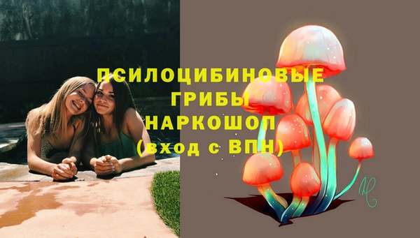 хмурый Ивангород