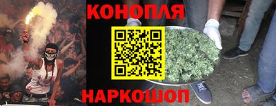 прущие грибы Дубна