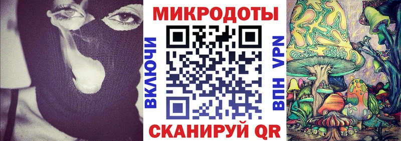 Псилоцибиновые грибы Psilocybine cubensis Скопин