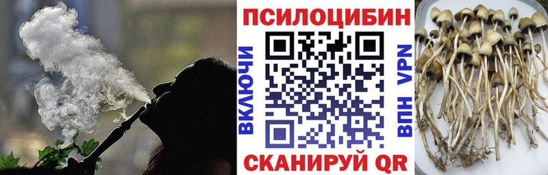 blacksprut сайт  Скопин  Псилоцибиновые грибы Cubensis 