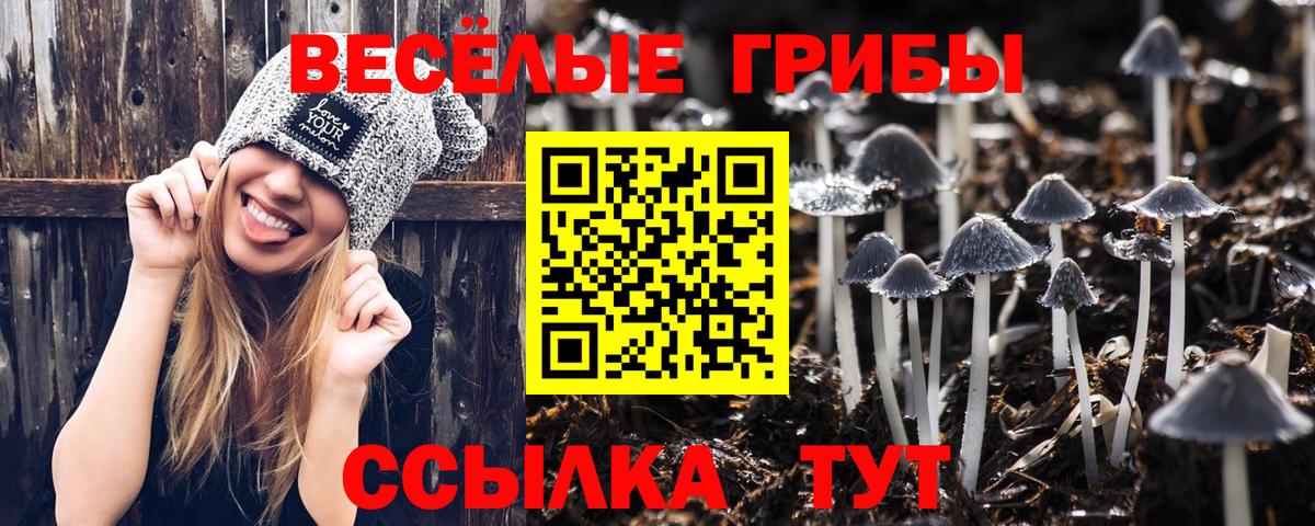 Скопин  Галлюциногенные грибы мухоморы  закладки  Галлюциногенные грибы прущие грибы  Вход с VPN 