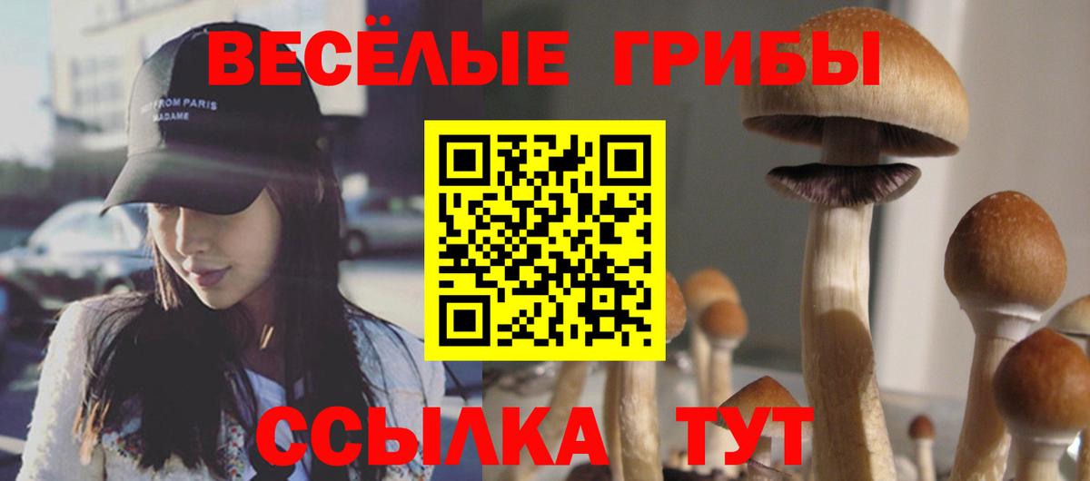 закладки  Псилоцибиновые грибы мицелий  Скопин  Псилоцибиновые грибы мухоморы 